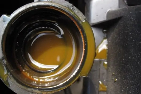 Do Motorcycles Have Oil Filters? Vital Maintenance Insights